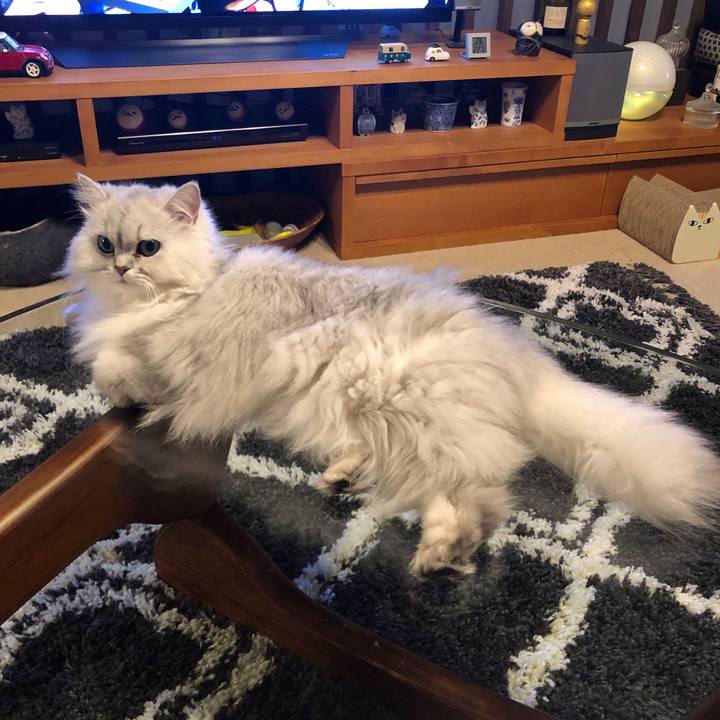 Fdc93b64 d0b2 451a abe1 48a10dcad1eb 1587862454191