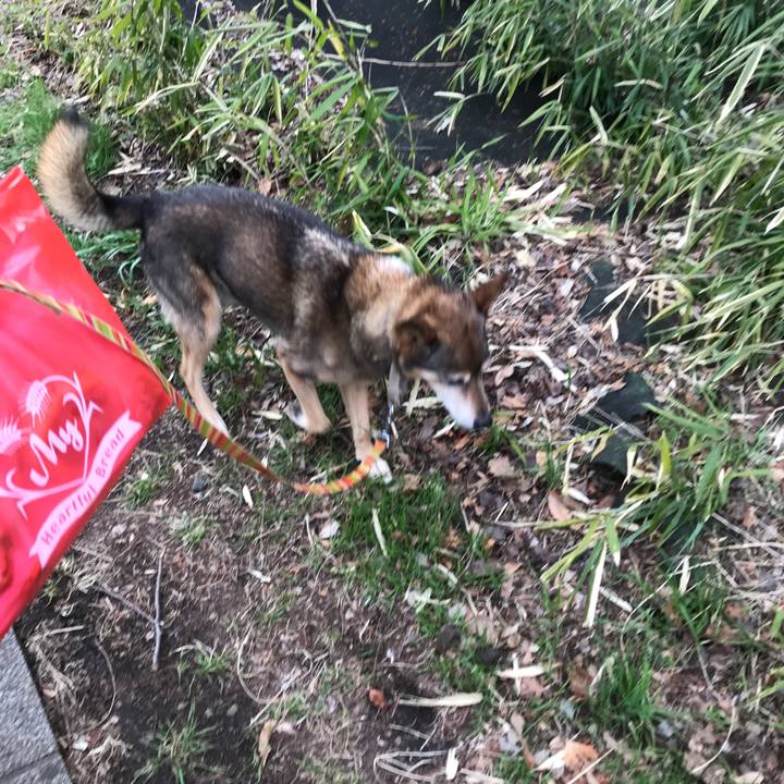 Fdc940a1 2197 4ac1 89ce 8ae1f38a5413 1520411605561