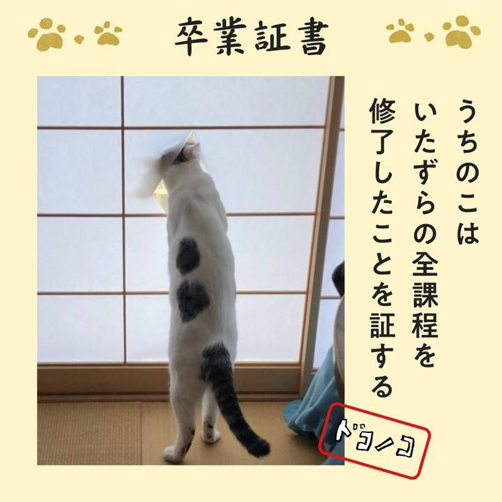 Fdc96e22 5ed3 4c3a a065 ce73365d52b5 1772319722150