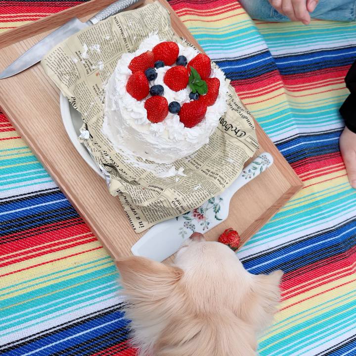 Fdc9d3ad d185 496e 91a4 23f8b6c71ac8 1712230582961