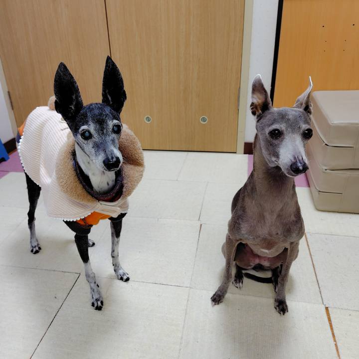 Fdc9ea0d 0503 47dc b272 dcaa52f32a92 1764485598937