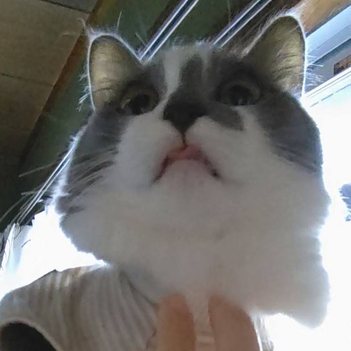 Fdc9eadf 384c 4047 9bae 8f63c36b350c 1573079352809