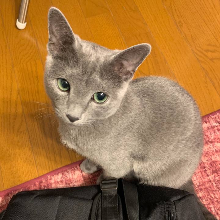 Fdc9fb3f 6618 46d5 a95d 98d3b7ff20ec 1575961695864