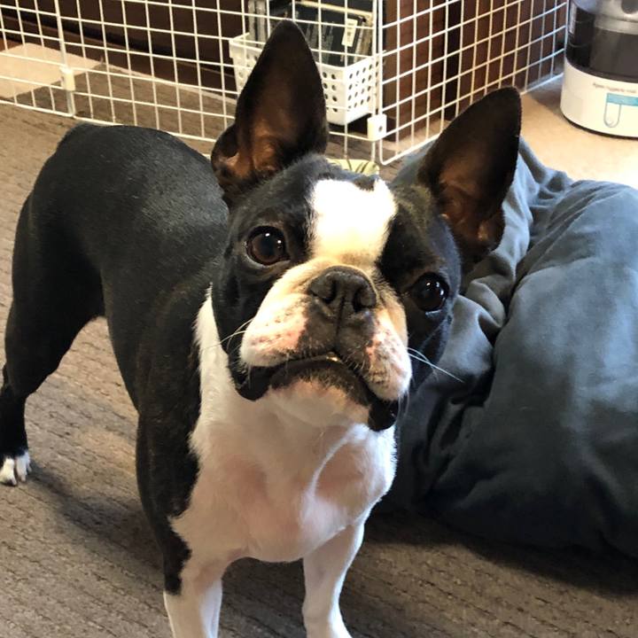 Fdca08a8 7a5c 401e bd66 84c516e1591d 1552132960227