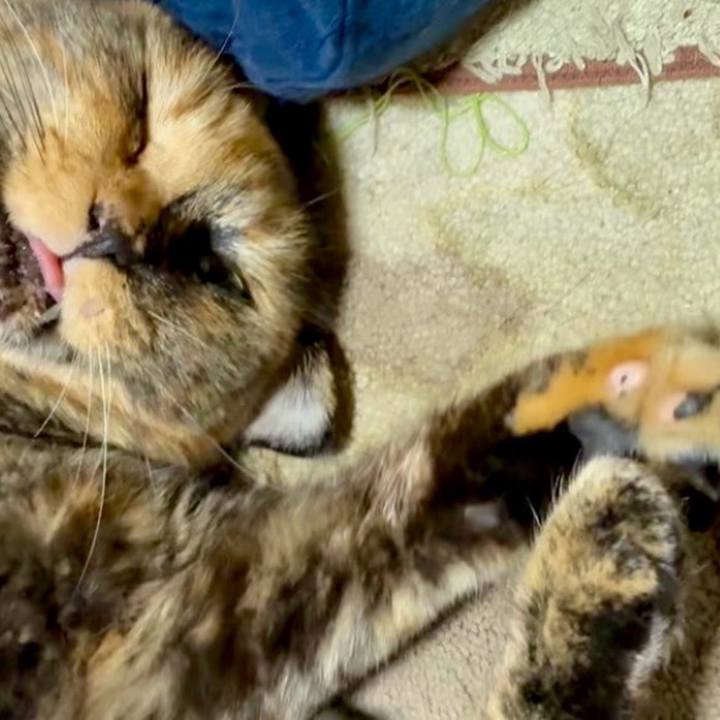 Fdca8f0a 4580 4acc a567 a07f5fa60bfa 1756678658423