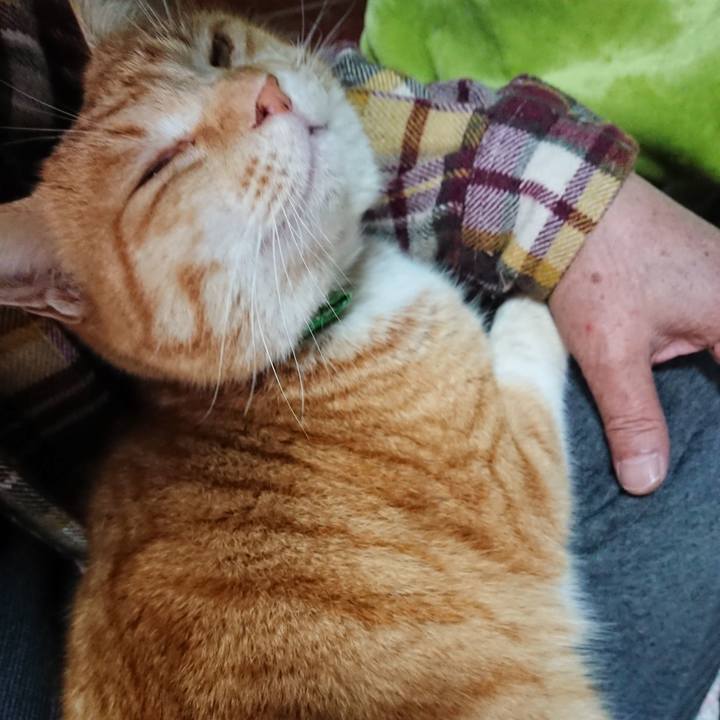 Fdcab02f aba6 4fb3 a857 2667ebbde822 1583479556535