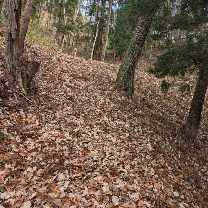 Fdcadd75 c6ff 430b 9300 fef6cb0c241f 1703254408127