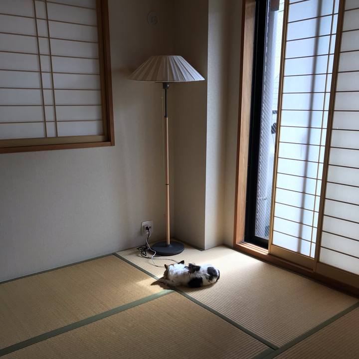 Fdcb26c9 067c 4ce1 be2d 026fb88bba0f 1570419838071