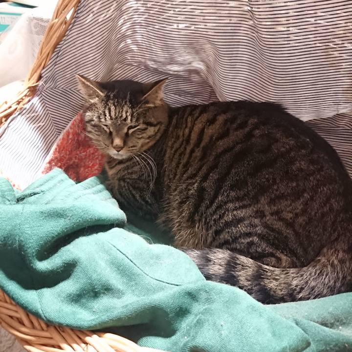 Fdcb718c 527d 4c9e 881c 6d82934b5700 1644843130349