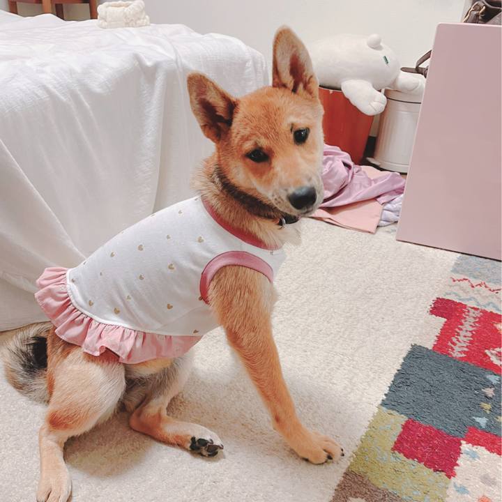 Fdcb742f ffcf 40d4 868e db3ed5ad61bf 1664106437171