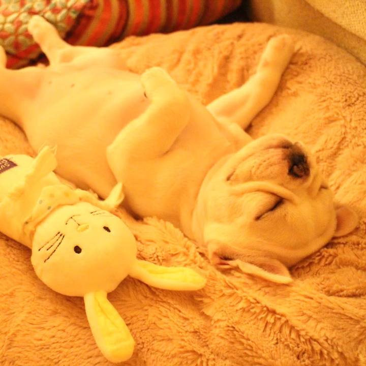 Fdcb9a5c 7443 4b28 a224 1fc388326938 1649944147147