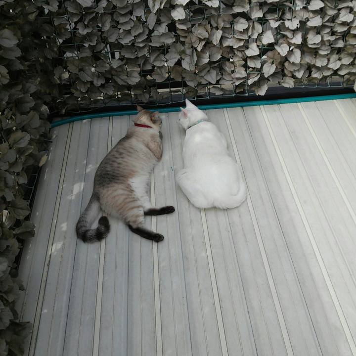 Fdcbb56f bd79 4e9a 8cca ba262eb23287 1520819157377