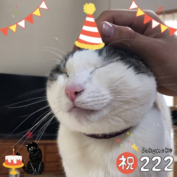 Fdcbdf4f ef9e 4e46 bb8f 1352d9b235d5 1645518325035