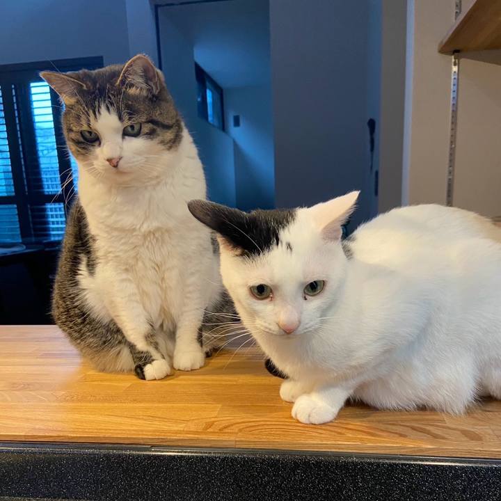 Fdcc0370 ada5 4b93 b9cc 8e8e11fa70ec 1749888431235