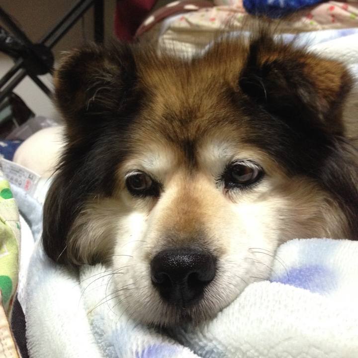 Fdcc1316 9a29 4f30 8e92 94e24cacd034 1549322287714