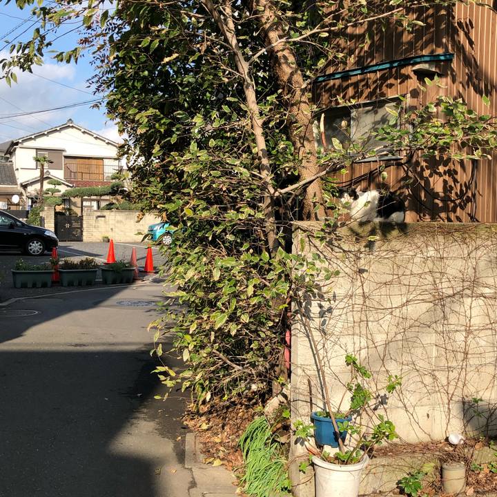 Fdcc18e4 13f4 4de1 b673 7d28de3c1a85 1541968034303