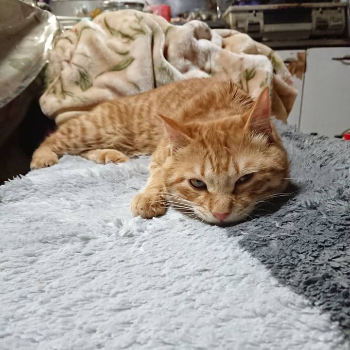 Fdcc2fe6 2721 4fdf 8363 f6ea7ae89b56 1645523455381