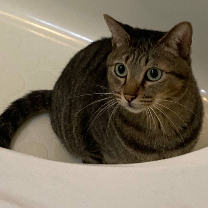 Fdcc9b4a 995c 46fb 99a1 fd33f8cda598 1762902729960