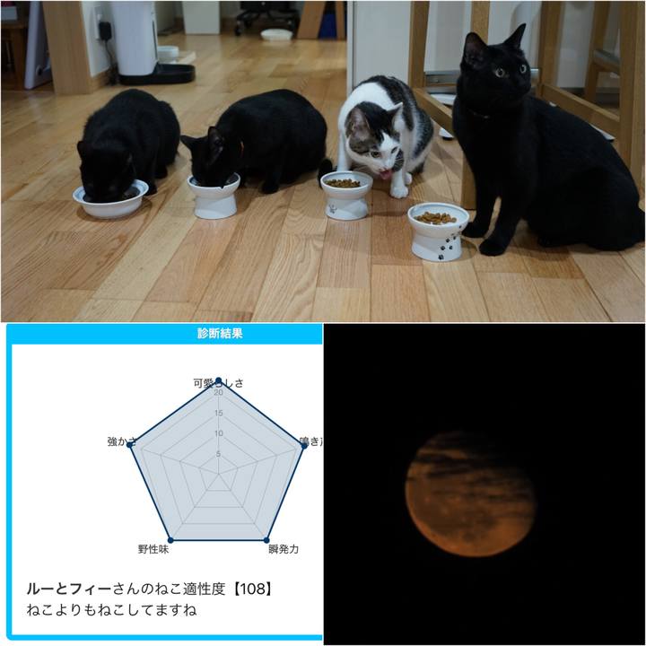 Fdcccf4b 55fb 4f1e 8189 936c2aaab505 1538558272402