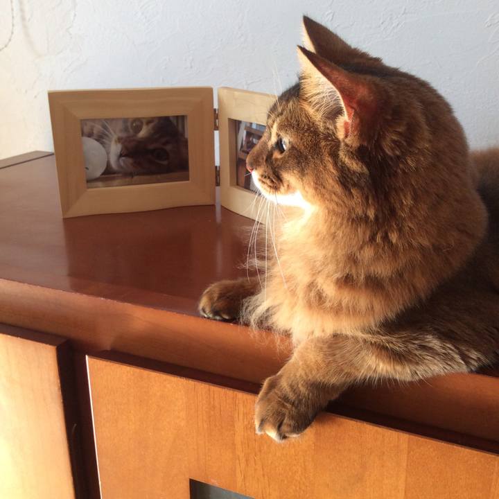 Fdcd0251 89dc 4fbc 8c4b cc008187bad7 1606958051609