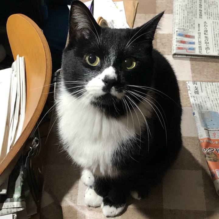 Fdcd1836 867a 4525 8d1d 08d4ce5055fe 1576412580249