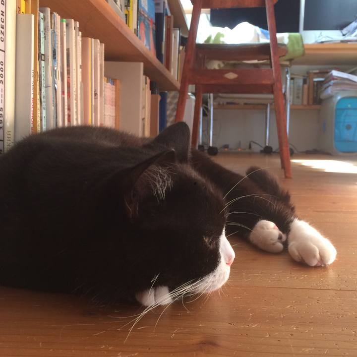 Fdcd3723 8be7 44a4 8e3a 98c4e689bc0a 1568419423456