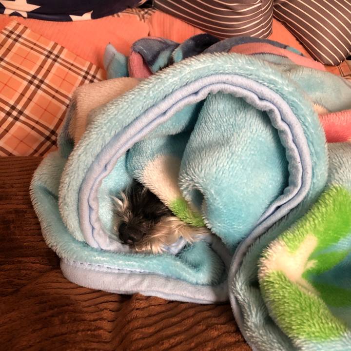 Fdcd4e54 4345 417c 9400 ca26179ad756 1674999240574