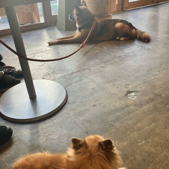 Fdcd5fed 337d 4963 b4c9 203bf4c22a81 1752906386094