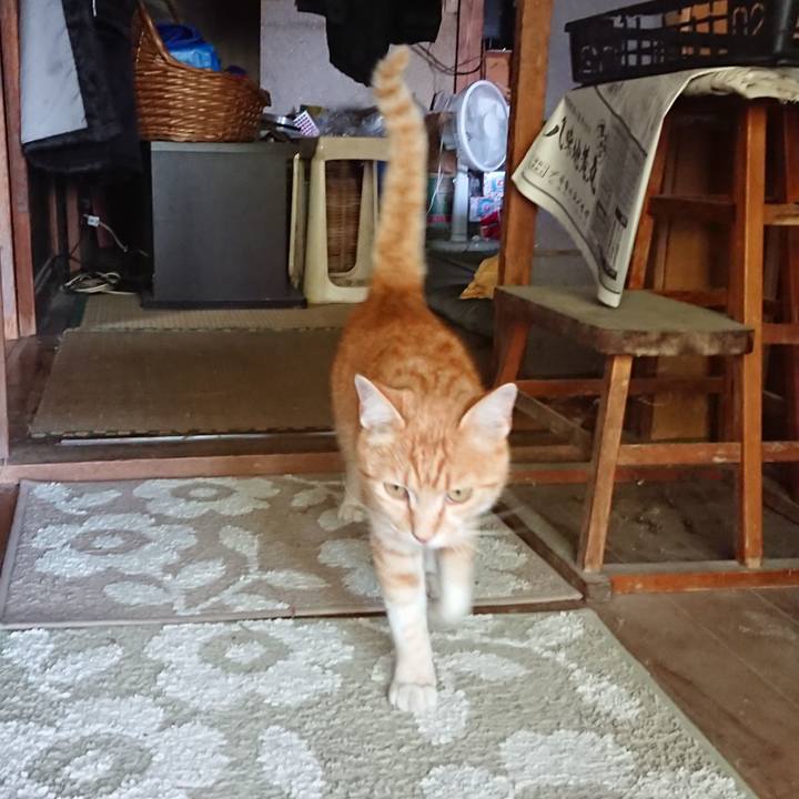 Fdcd5ffe c72d 45a3 9e9f 07b8c3c30840 1593421789896