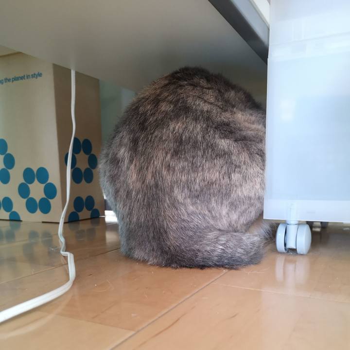 Fdcd6a52 9ecb 44c2 87ec 4524c60e62ce 1568276155077