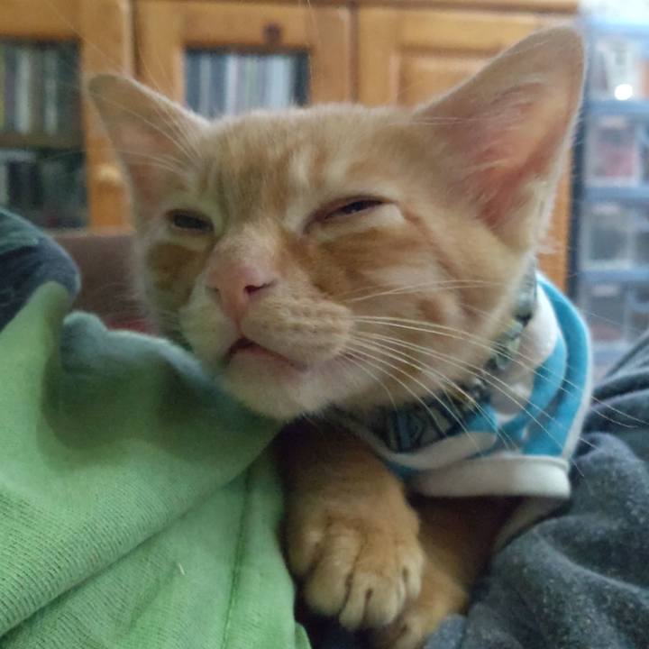 Fdcd6db0 baaf 4334 84e3 520bfa5c42e9 1671026530312