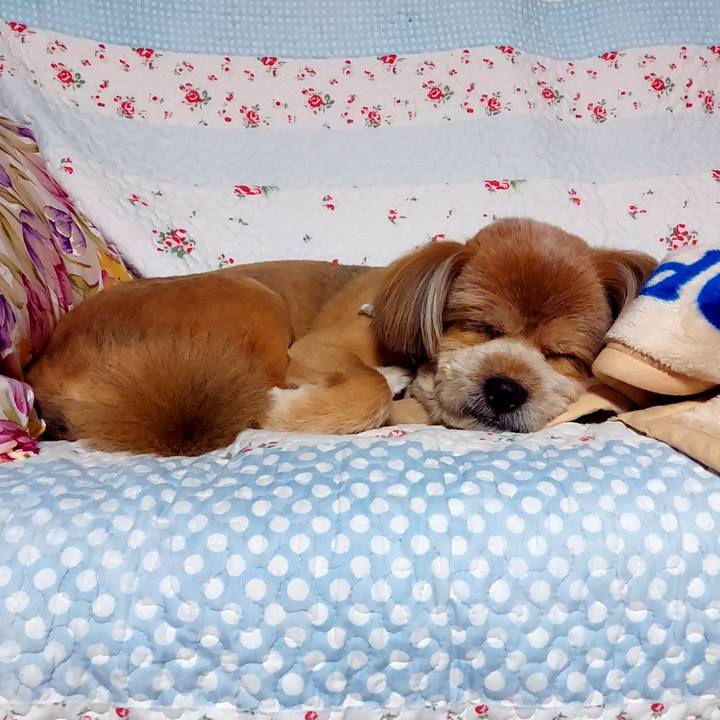 Fdcd8331 564e 4e9c a176 85cbd40cf96b 1631450823522