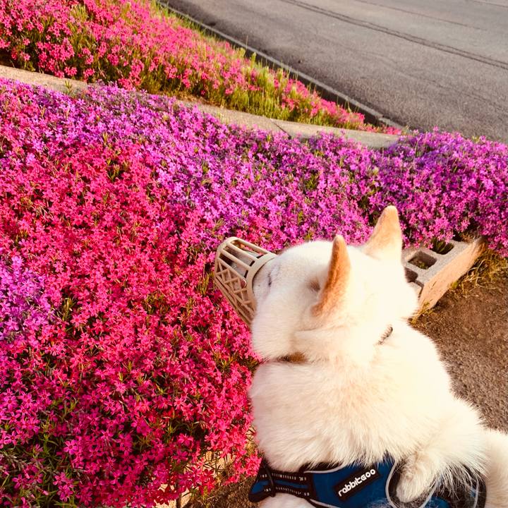 Fdcd8758 9894 4b3f 851c 9787cf26dfb4 1653164058254