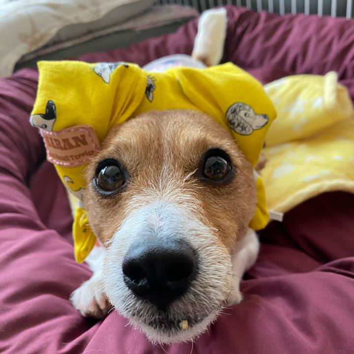 Fdcde42d 55d5 4f6c be8d 2865adaf05ff 1591318422486