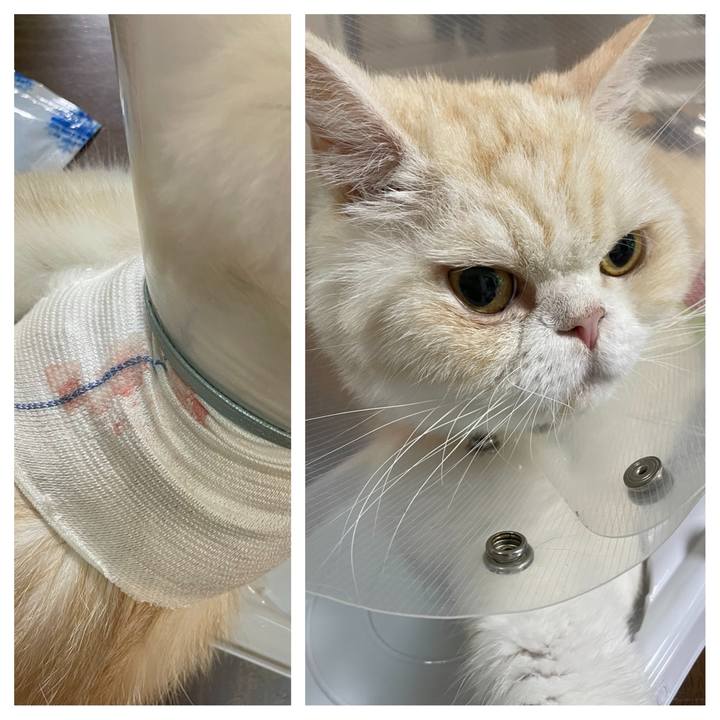 Fdcde531 906e 4e14 99b2 43e254209c4c 1758283328902