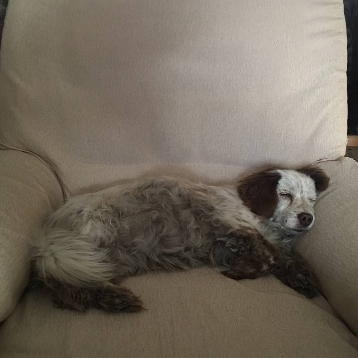 Fdce476b 7b3a 46e3 a982 2f26f869fe5e 1519749886739