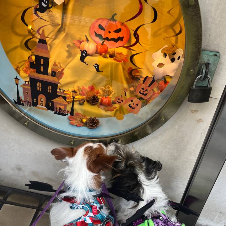 Fdce703a 5e8b 4e14 a995 7f6f34ca1082 1761898660670