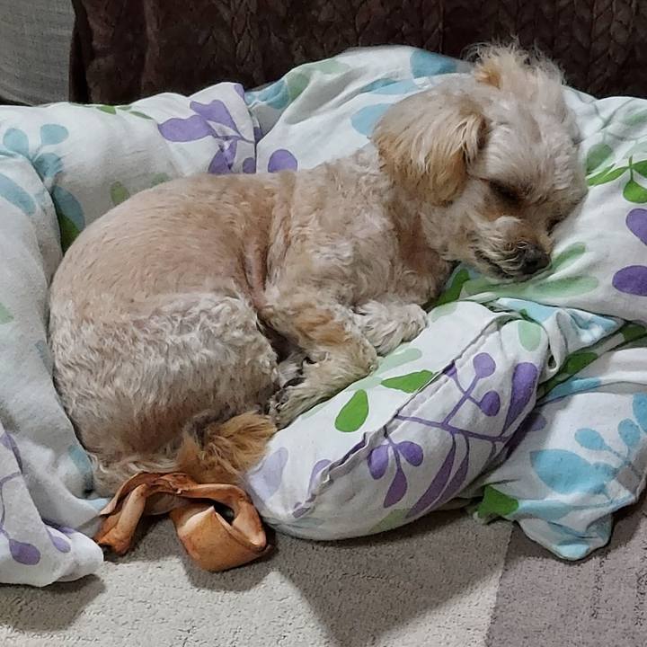 Fdce7a47 b0b2 4ff2 9c45 34bdc9194f76 1669627863877