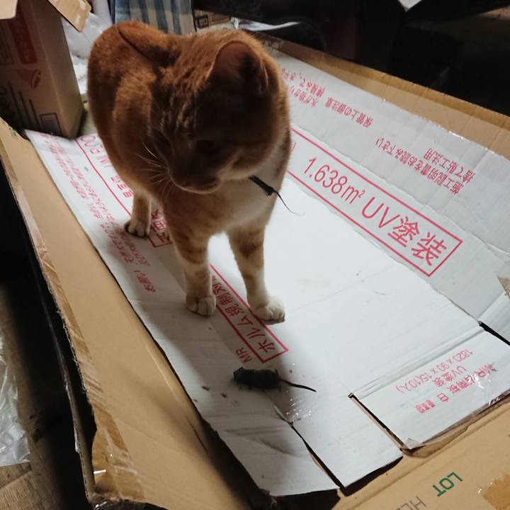 Fdce8055 6c75 4d11 807d a1a0a17be9ee 1602674882578