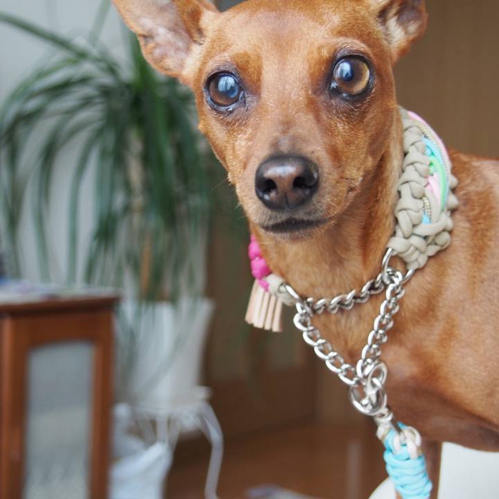 Fdce95f1 dfdc 4efe 9e1f 5a5556838c14 1568551715883