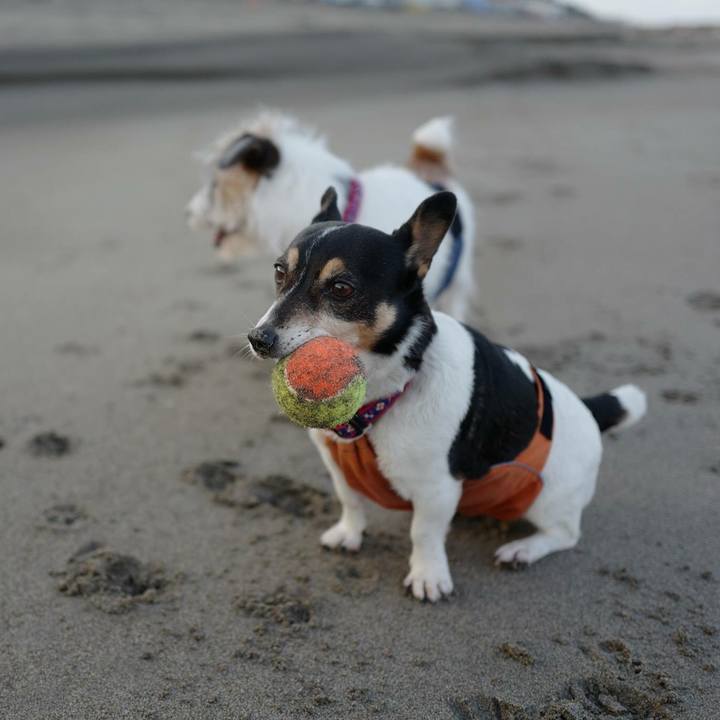 Fdce969c 4c1b 4ff7 9e8a c7ad1728e271 1514005344049