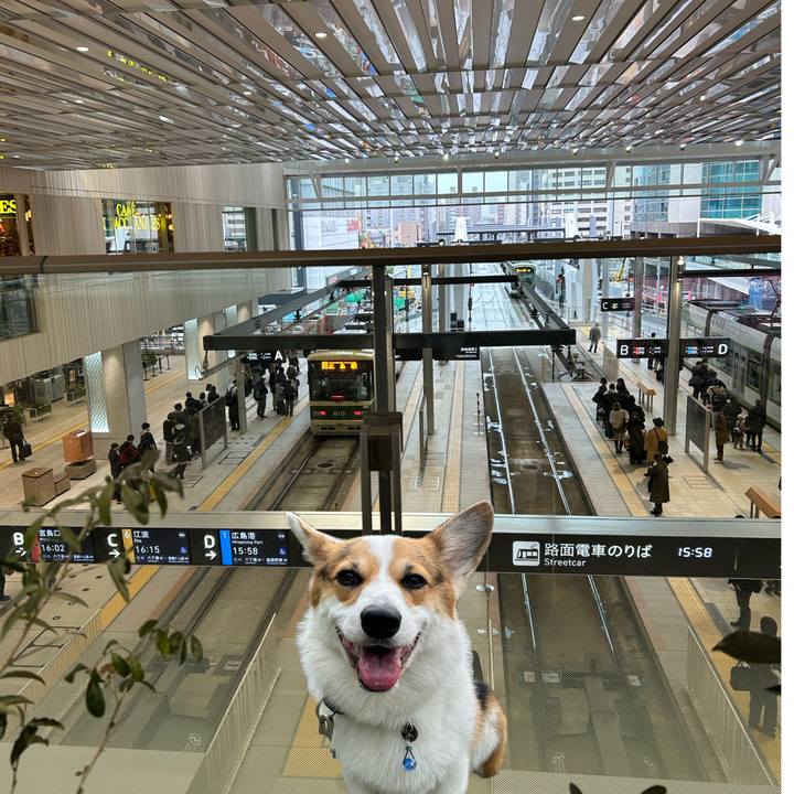 Fdceaa9c f123 4db9 bfca d92b4a74ddfd 1772457313549