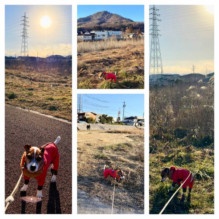 Fdceb2c5 6ae3 4e38 af05 9ea49d7d8358 1768031755754