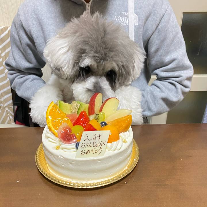 Fdceb7bc bc4d 4c3c a4eb 0bc65c09857c 1606579265513