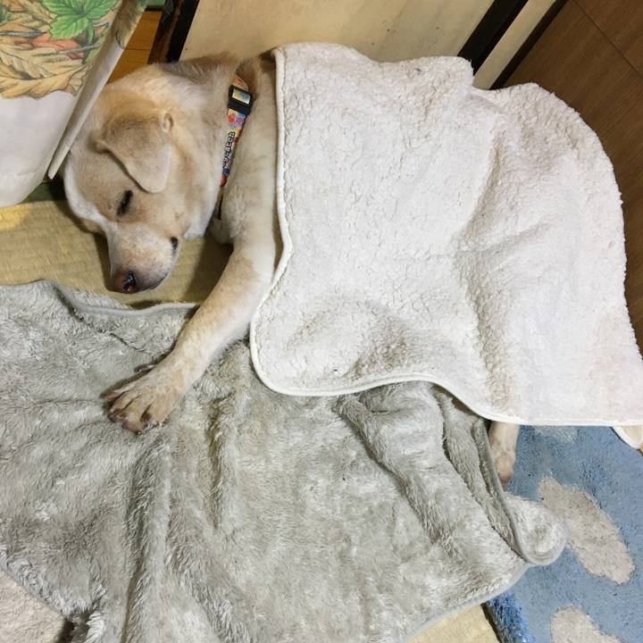 Fdcebe52 5404 4071 b7db a842e441587f 1508590692604