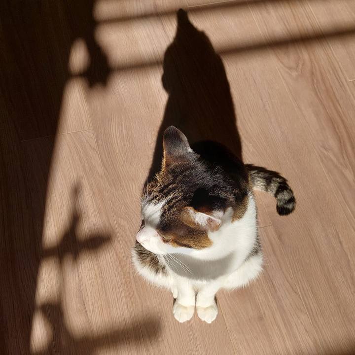 Fdced258 57ef 4db4 8244 6325e1bbc5b5 1733799725338