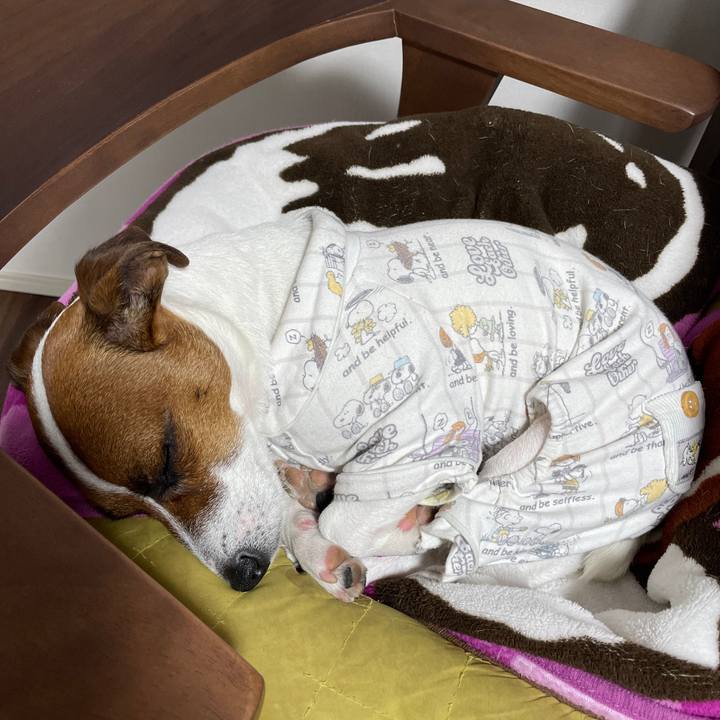 Fdcee15c ae2f 456d 8660 05b168418ac2 1644457180312