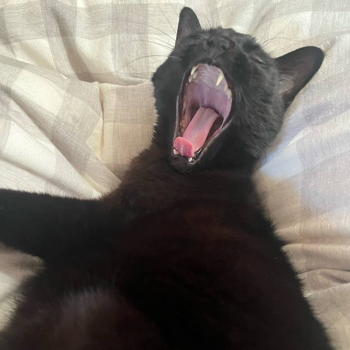 Fdcf0509 7bcd 4c57 81a1 e3c720e6c280 1711499182218