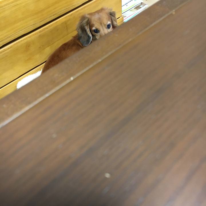 Fdcf18db 1ed8 446f 892e 494c7f66ad91 1575898357493