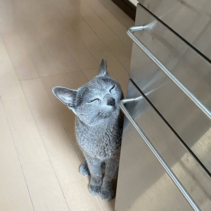 Fdcf3456 f7ce 4b4a a42e 8b72707661fd 1615539945421